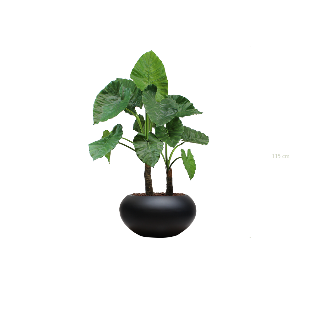 Die Große Alocasia – Schwarzer ovaler Topf #künstlich