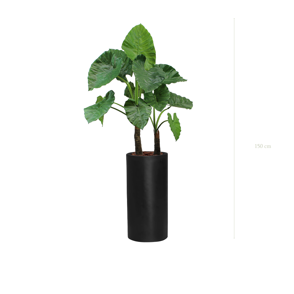 Le Grand Alocasia - Cylindre Haut Noir - Artificiel