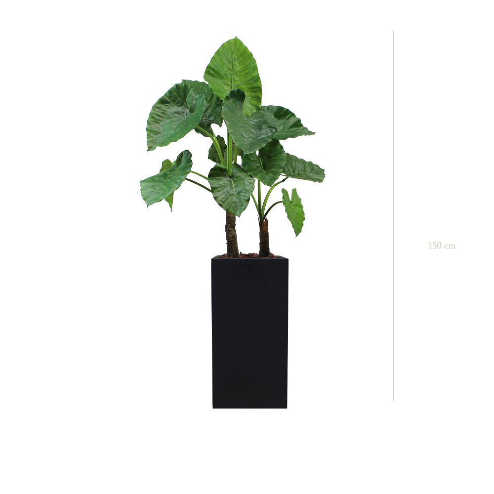 Die große Alocasia – hoher kubischer Topf in Schwarz #Künstlich