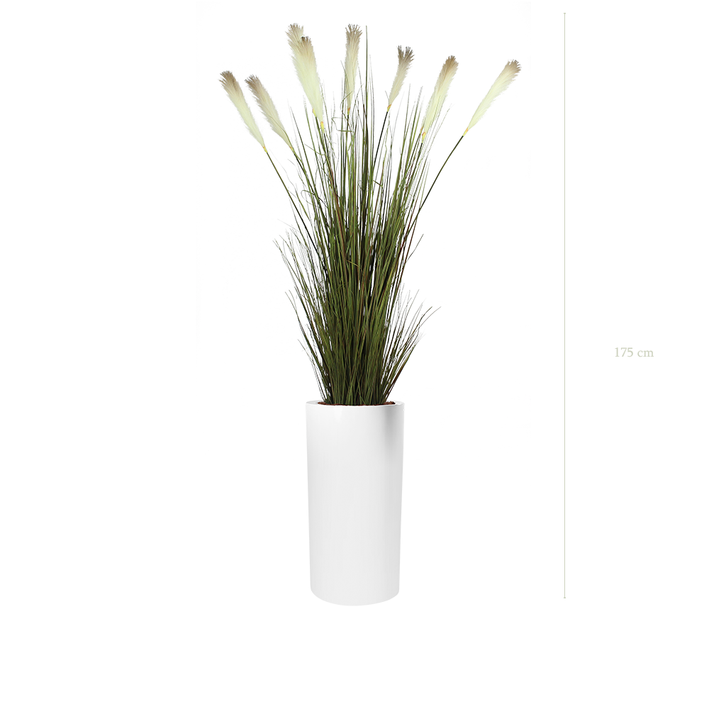The Pampas in a tall white cylinder pot #Artificial