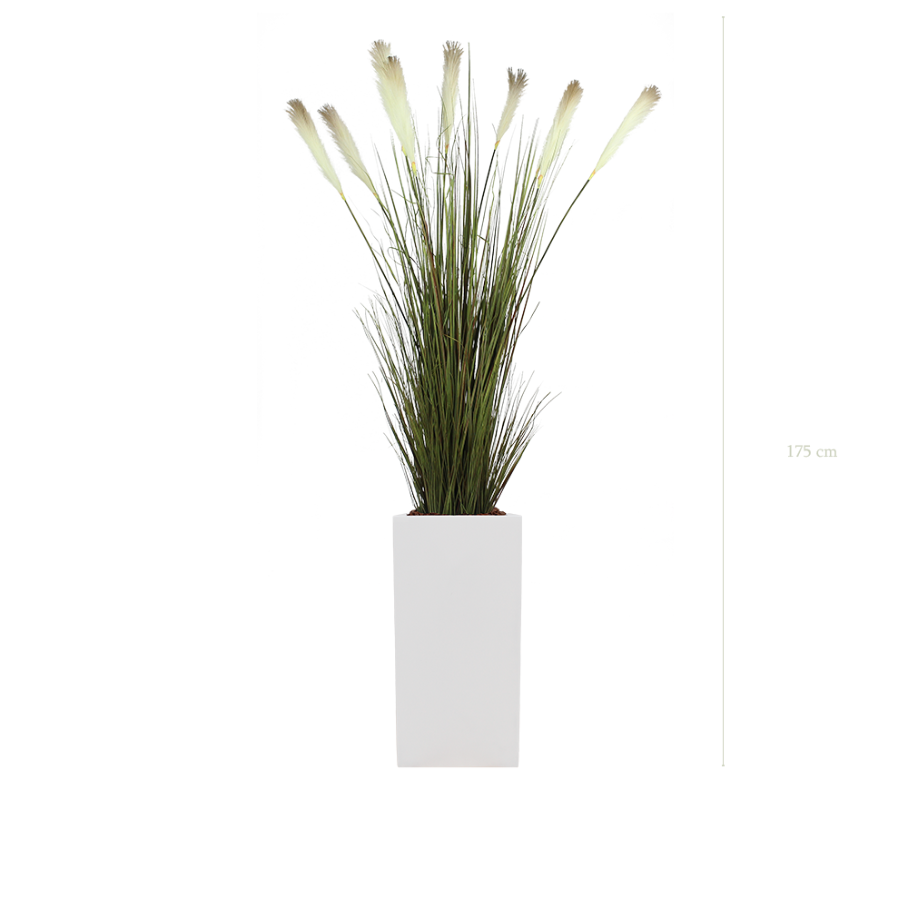 The Pampas in a tall white cube pot #Artificial