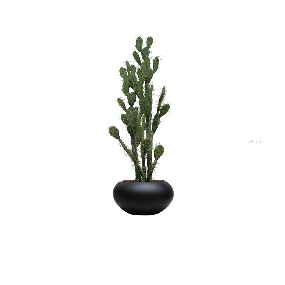 Le Cactus - Pot Ovale Noir #Artificiel