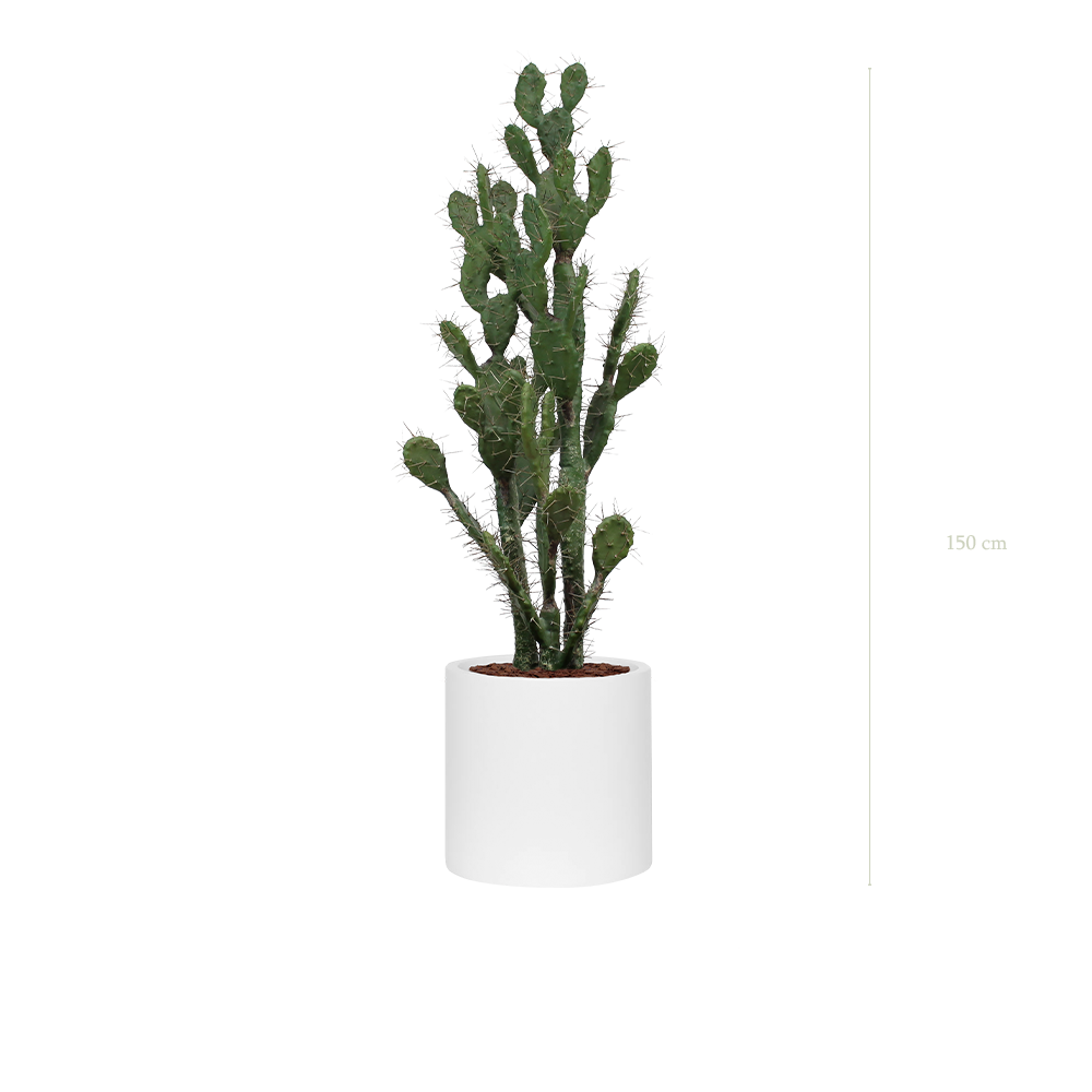 The Cactus in a white cylinder pot #Artificial