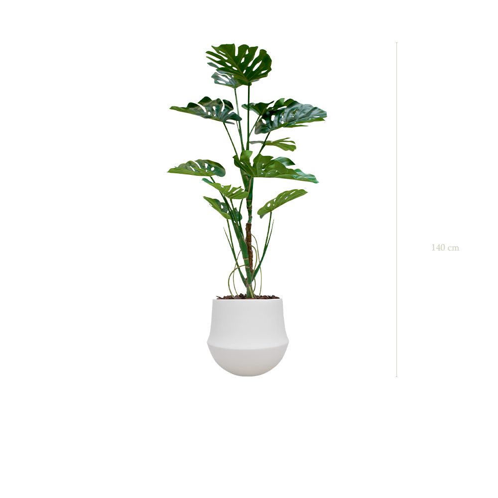 die Monstera-Pflanze - Weißer runder Topf #künstlich