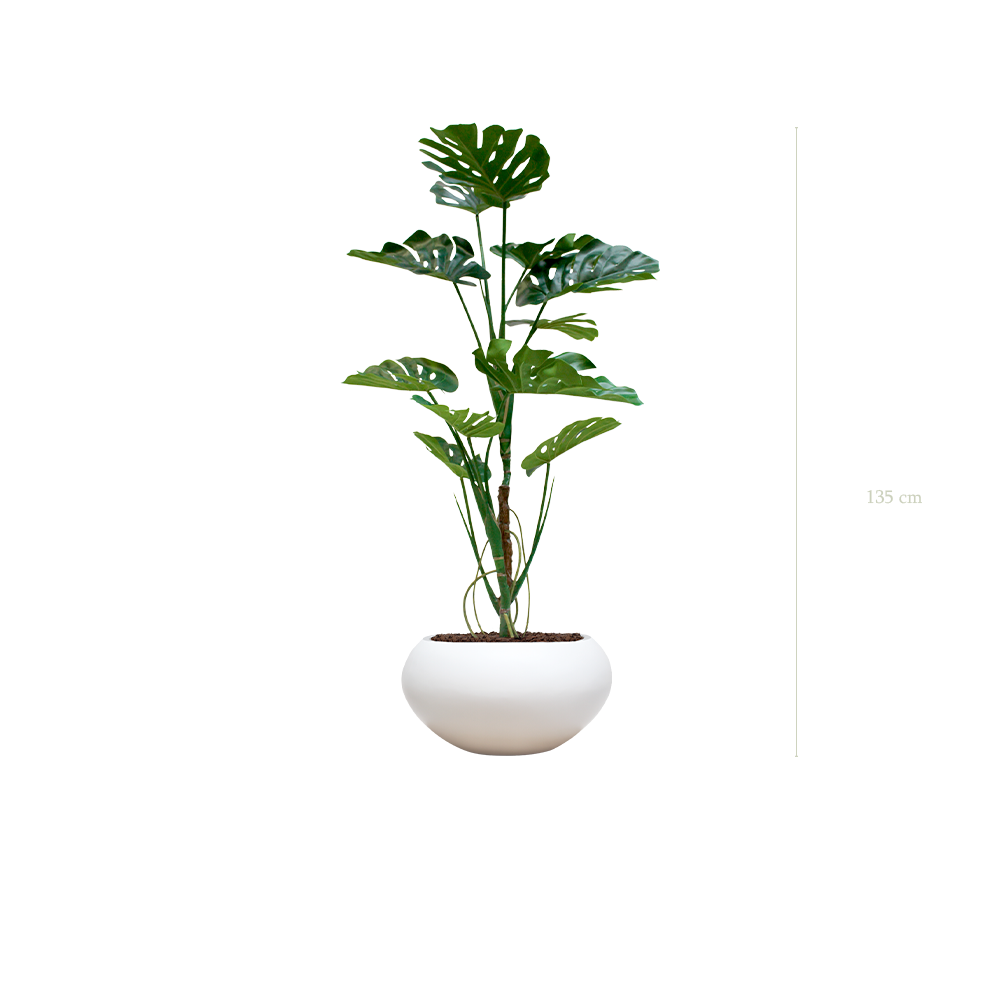 La Monstera - Pot Ovale Blanc #Artificiel