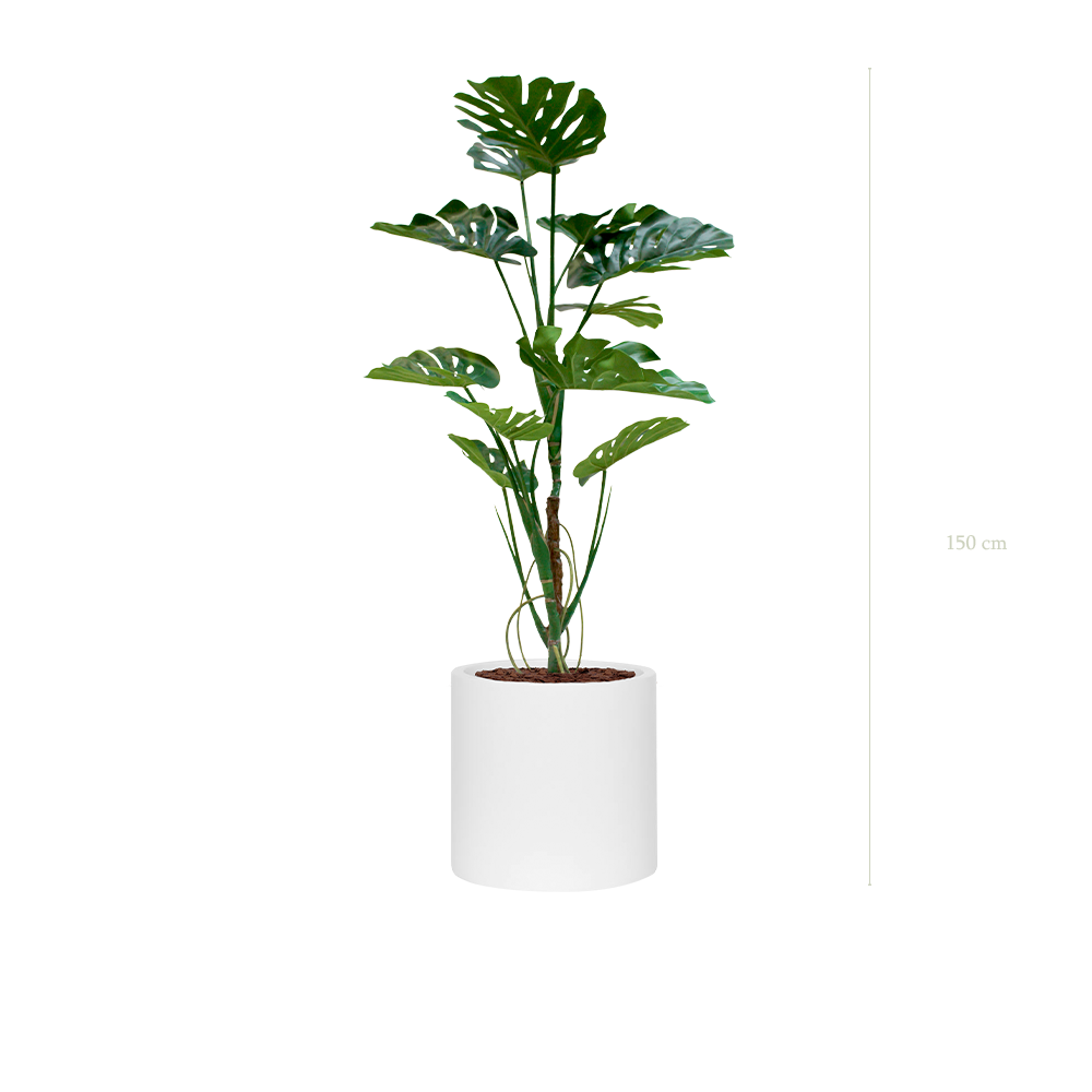 The Monstera in a white cylinder pot #Artificial