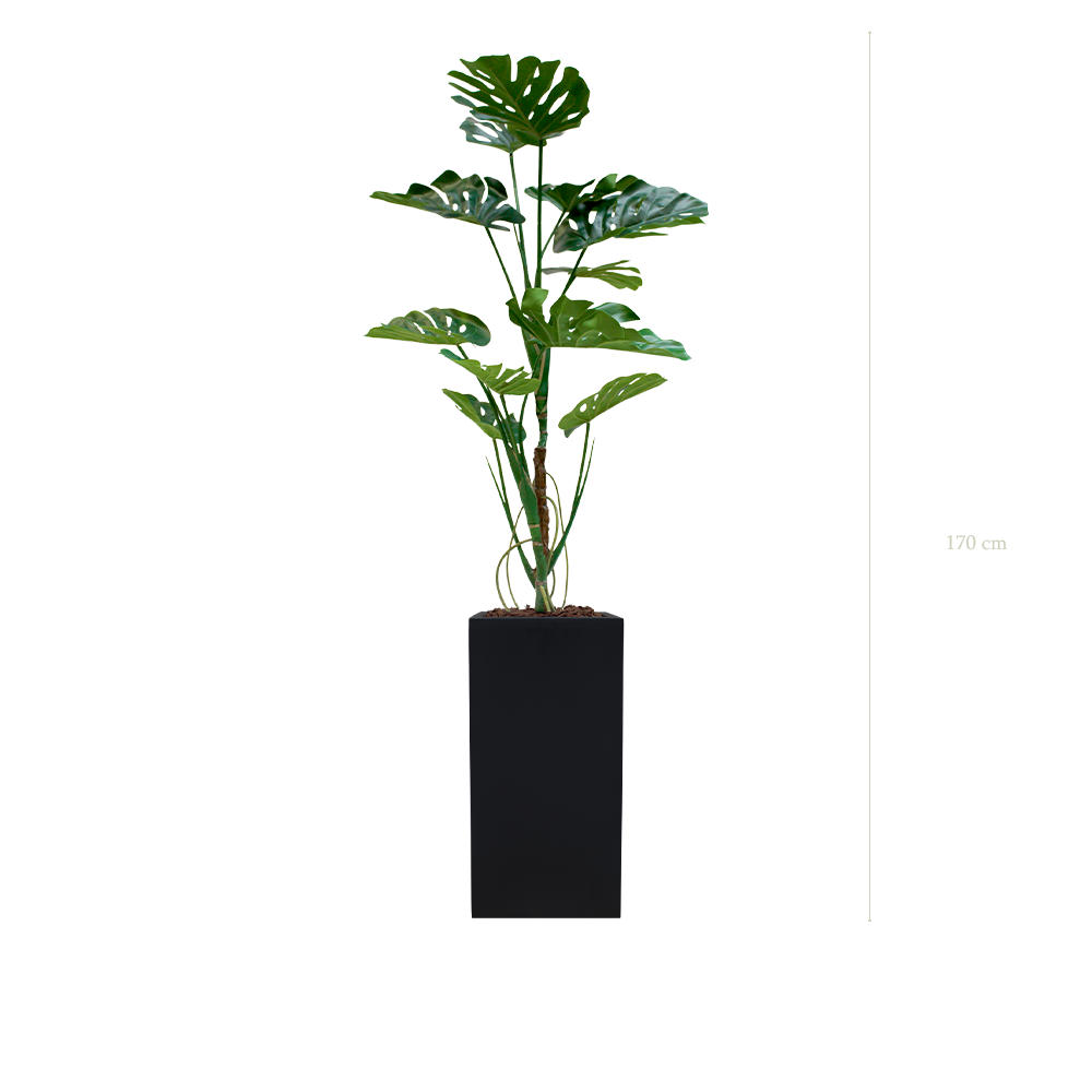 die Monstera-Pflanze - hoher kubischer Topf in Schwarz #künstlich