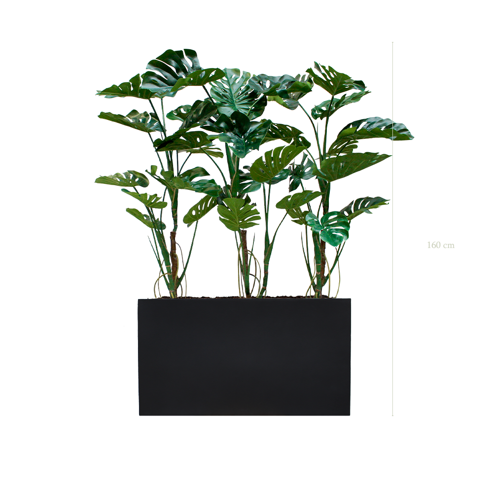 Séparateur S. Grandes Monsteras - Bac Noir #Artificiel