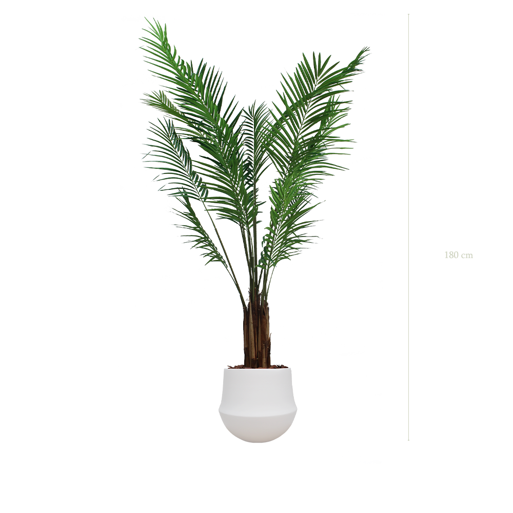 The Areca H. 180 cm in a white round ceramic pot #Artificiel