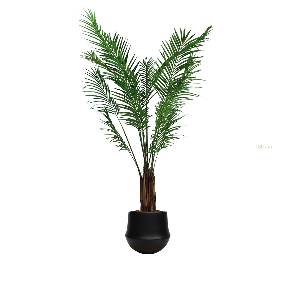 L'Areca - Pot Rond Noir - Semi-Naturel