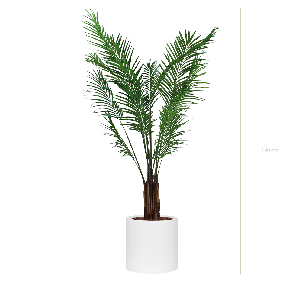 The Areca in a white cylinder pot #Artificial