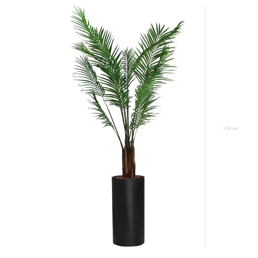 The Areca in a tall black cylinder pot #Artificial