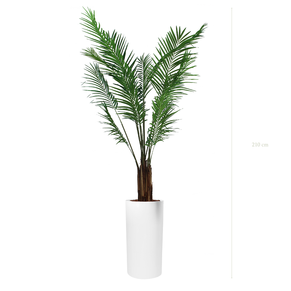 The Areca in a tall white cylinder pot #Artificial