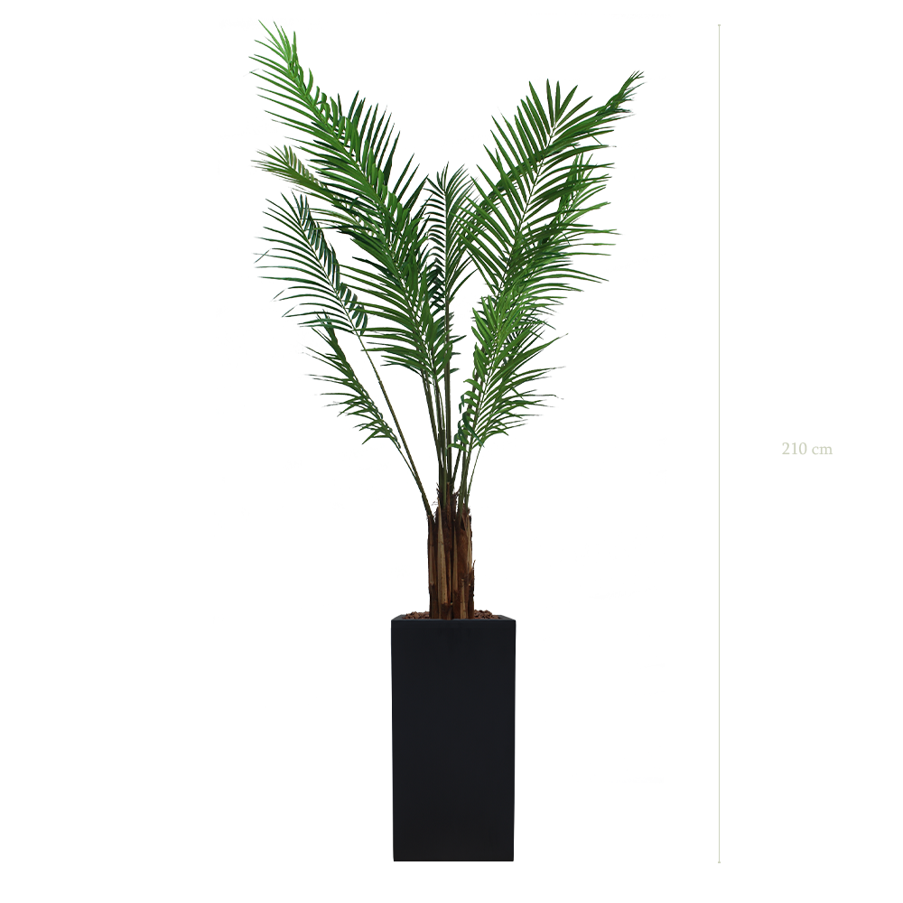 The Areca in a tall black cube pot #Artificial