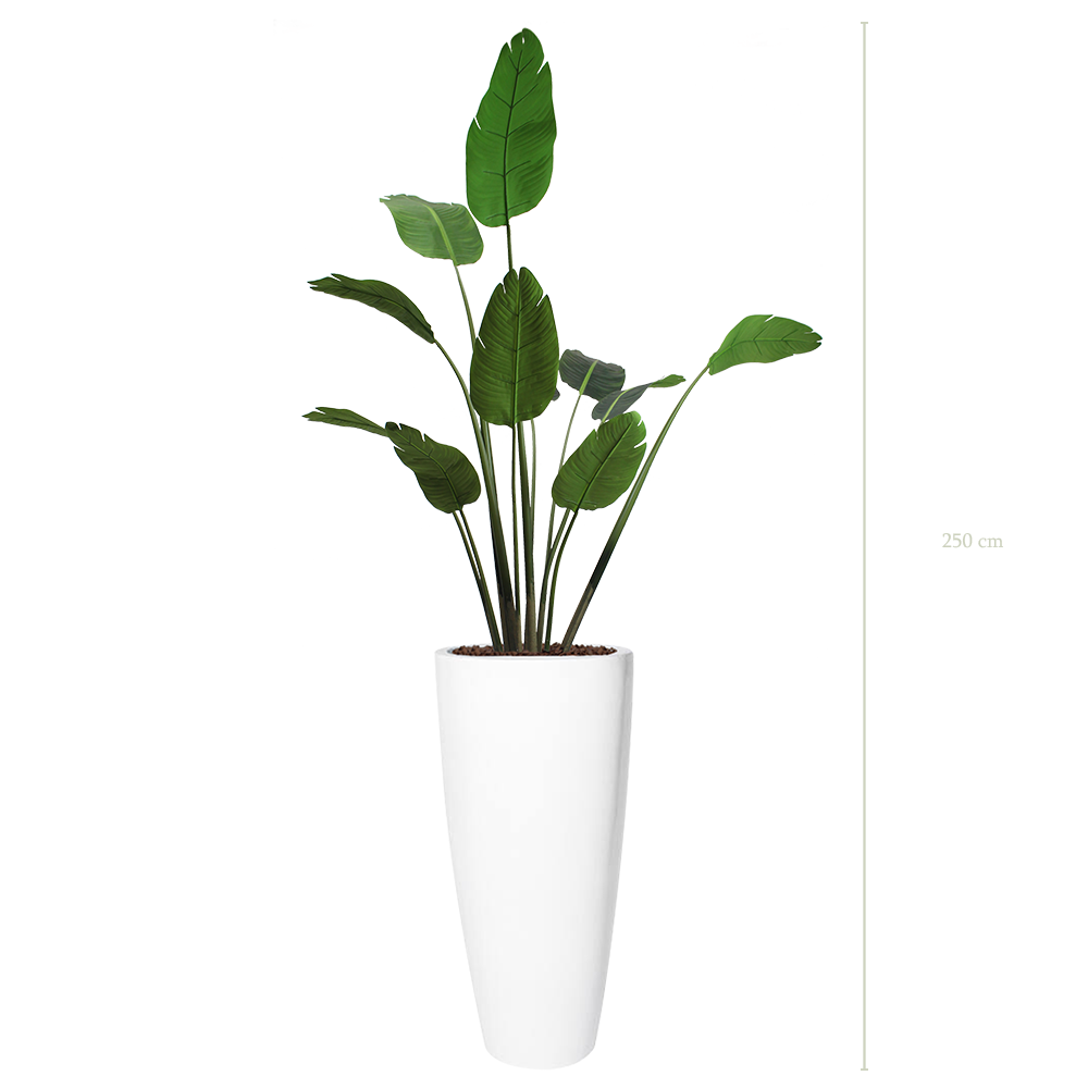 The Banana Tree in a tall round white pot #Artificial