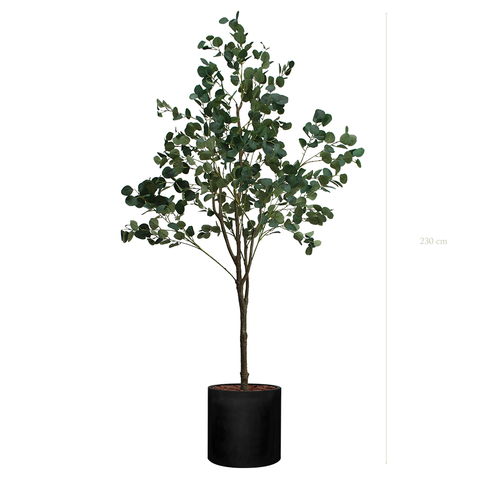 Der Eukalyptus - Schwarzer Zylinder #Künstlich