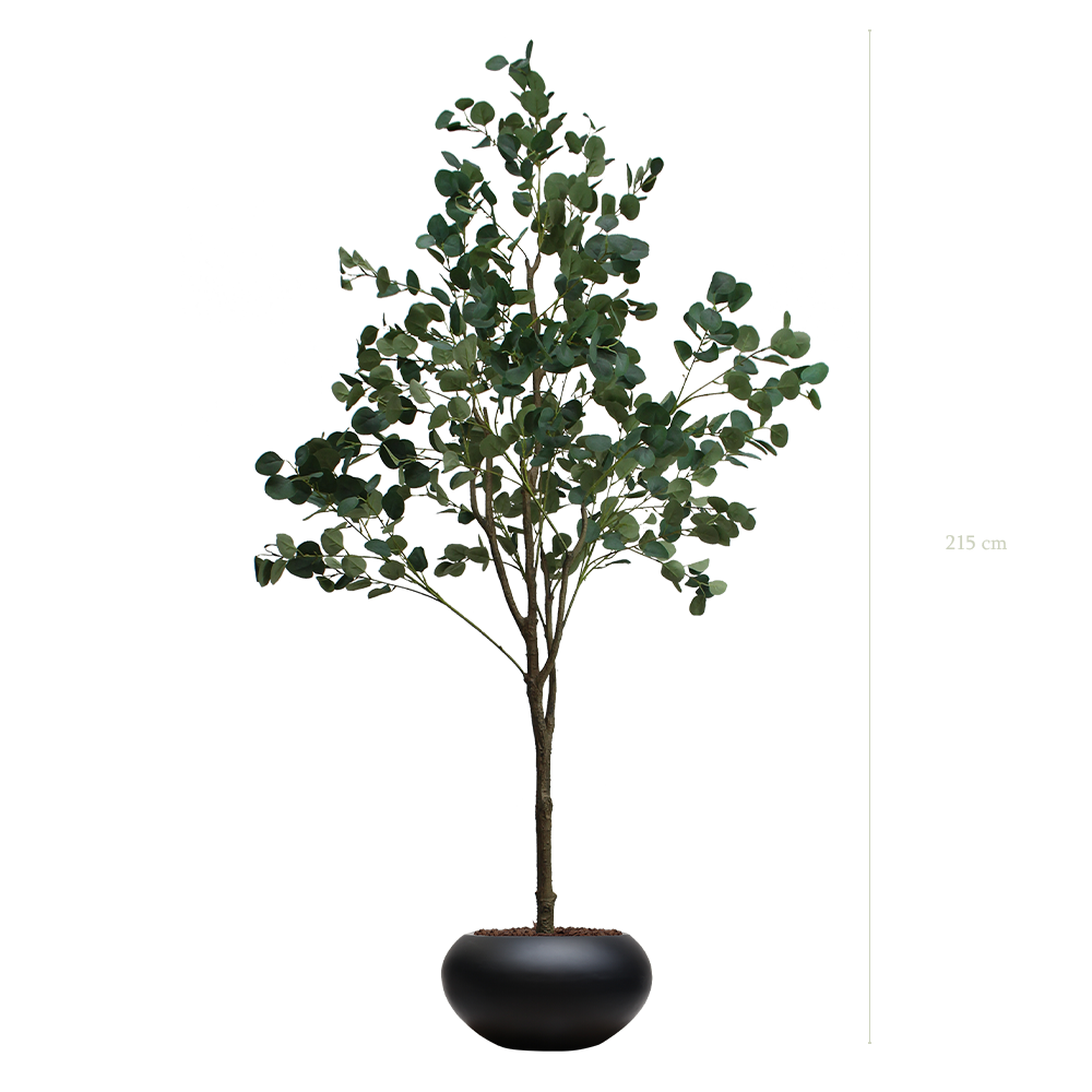 The Eucalyptus Tree H. 270 cm in a black oval Pot #Artificial