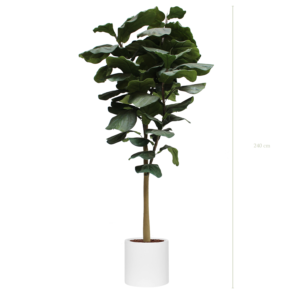 Le Grand Lyrata - Cylindre Blanc #Artificiel