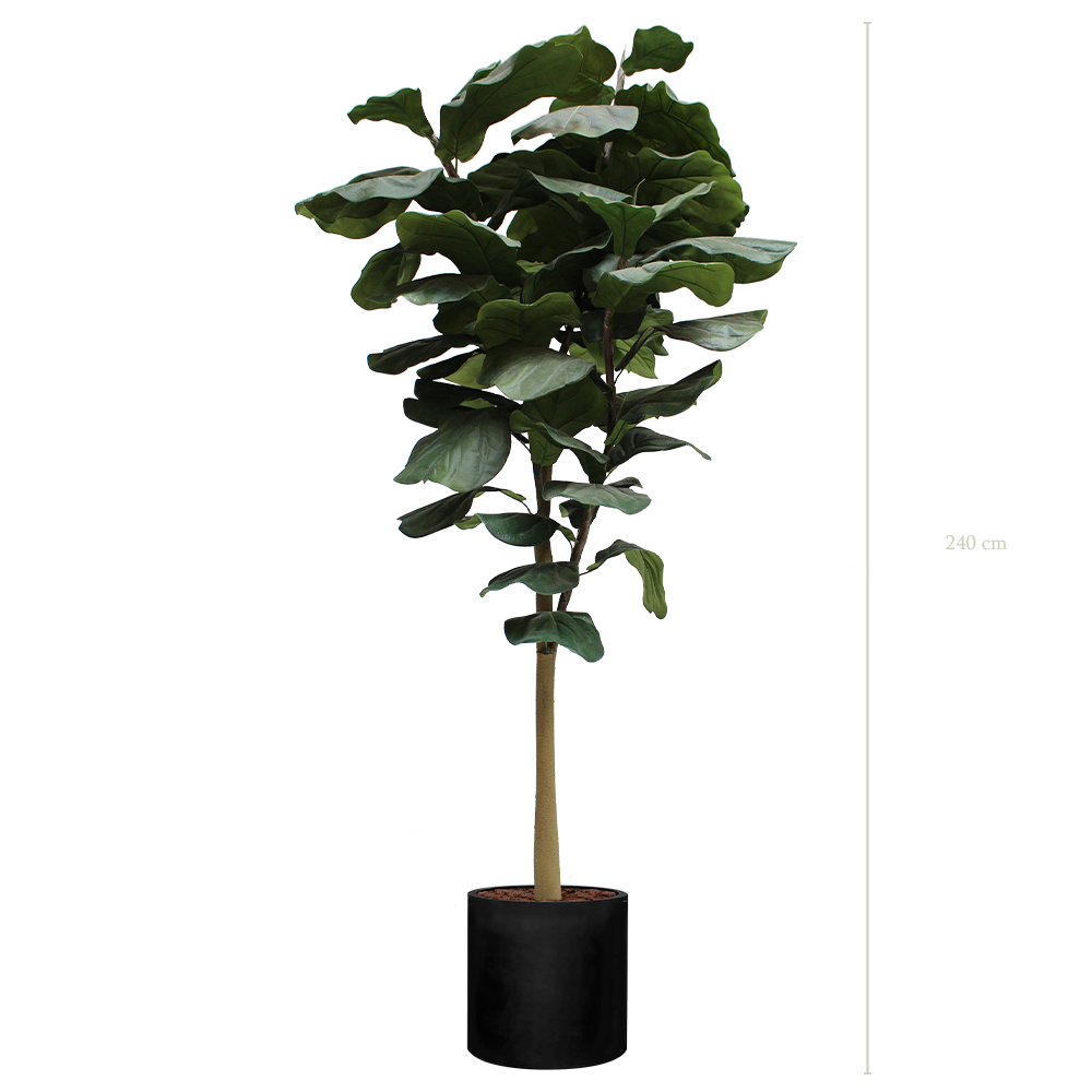 Le Grand Lyrata - Cylindre Noir #Artificiel