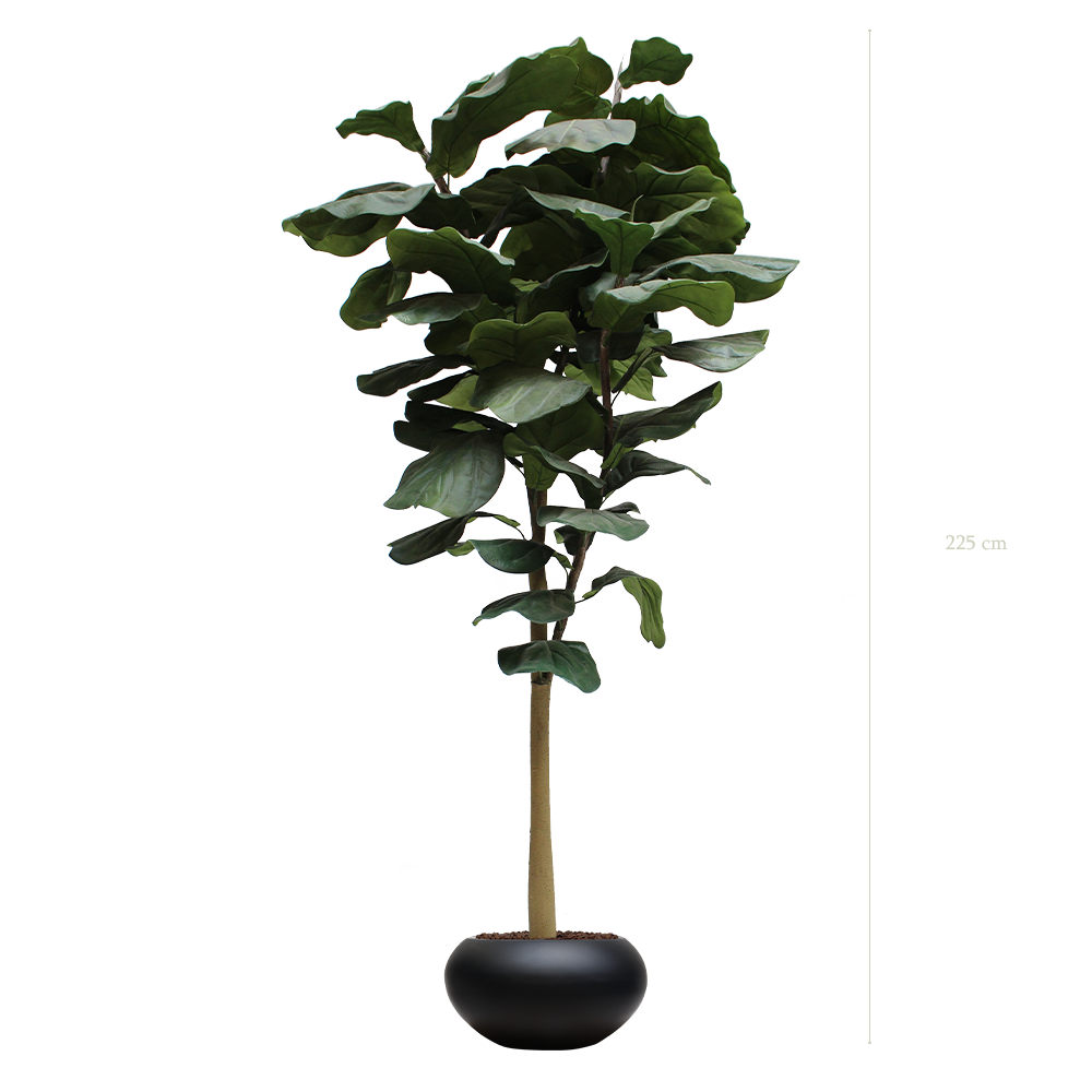 Le Grand Lyrata - Pot Ovale Noir - Artificiel