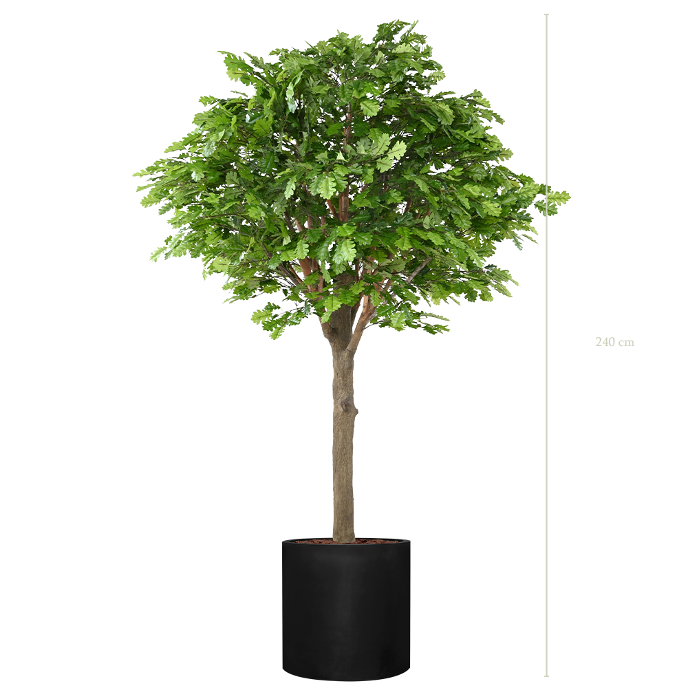 Le Chêne 230 - Cylindre Noir #Artificiel