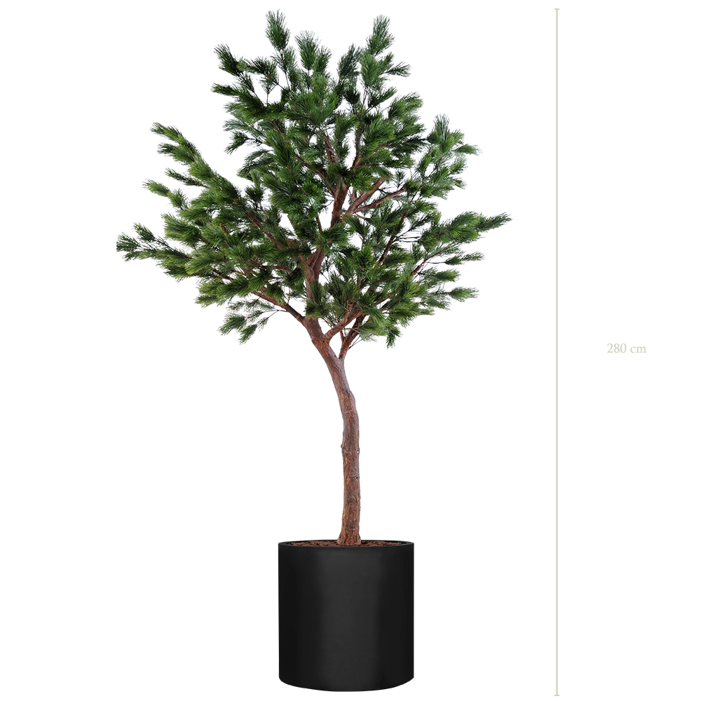 Le Pin 280 - Cylindre Noir #Artificiel