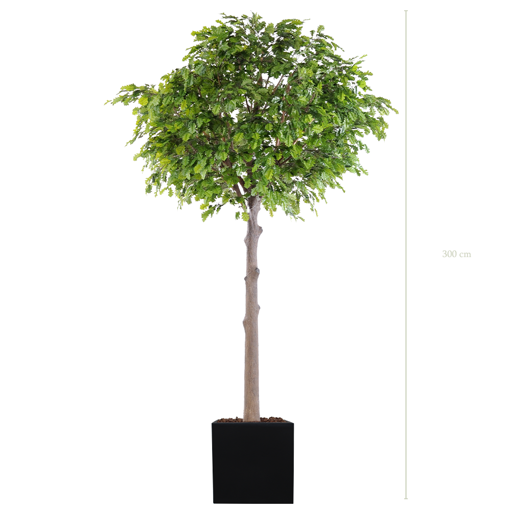 Le Chêne 310 - Cube Noir #Artificiel