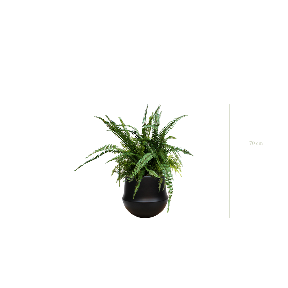 La Fougère - Pot Rond Noir #Artificiel