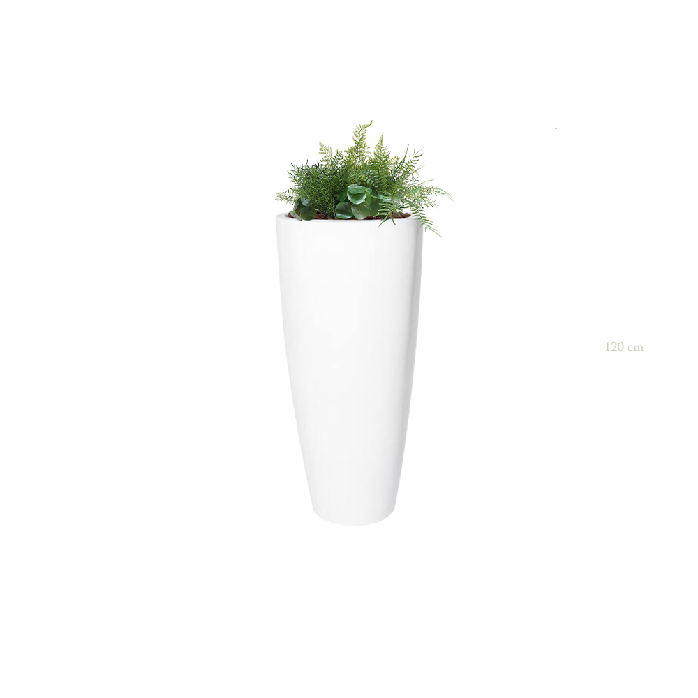 The Caracas in a Tall Rounded White Pot #Artificial