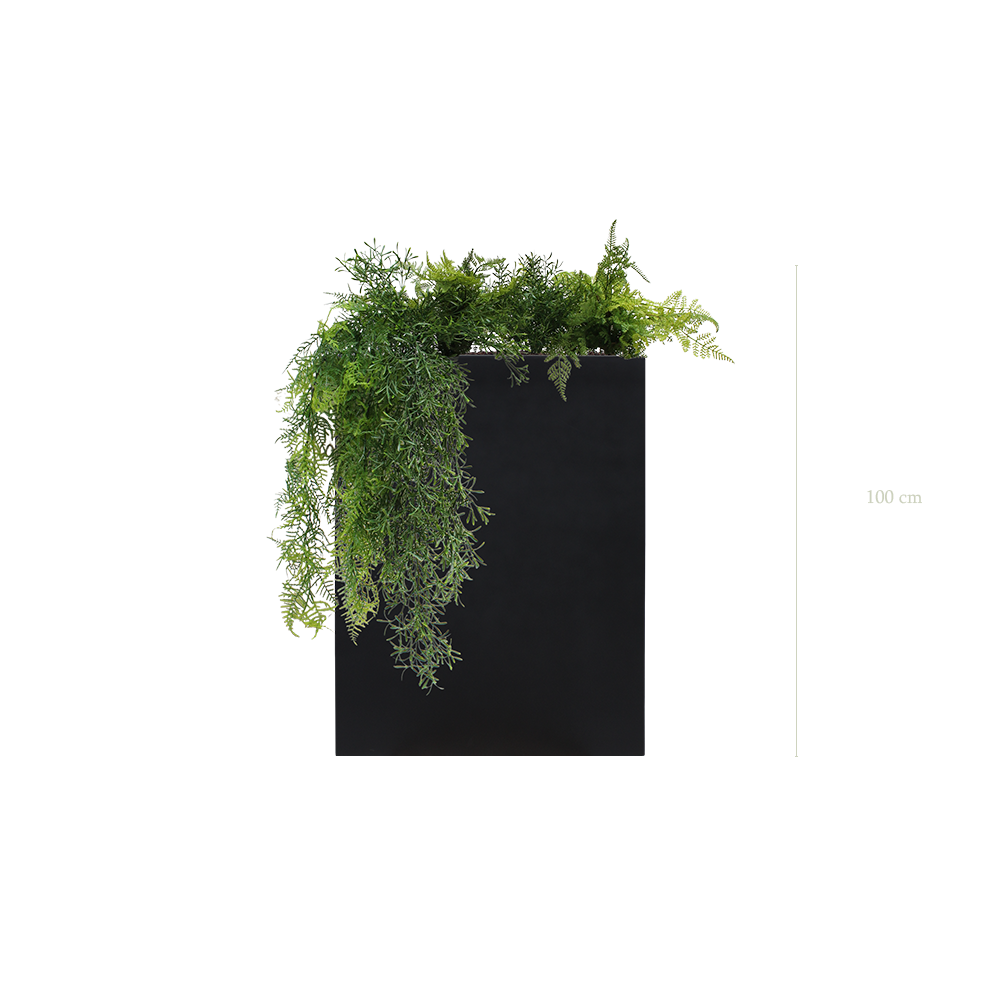 Séparateur M. Quito Tropicale - Bac Noir #Artificiel