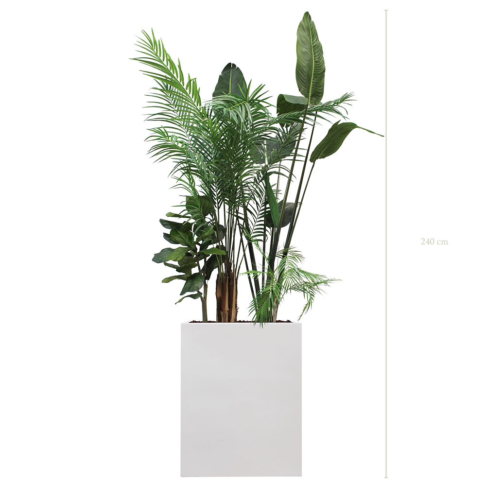 The Bornéo M. White Divider #Artificial