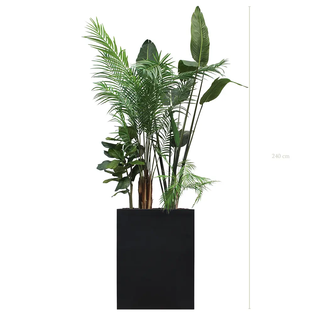 The Bornéo M. Black Divider #Artificial