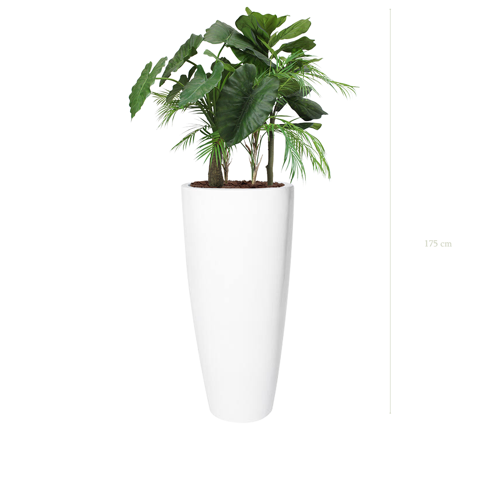 The Palawan in a Tall Rounded White Pot #Artificial