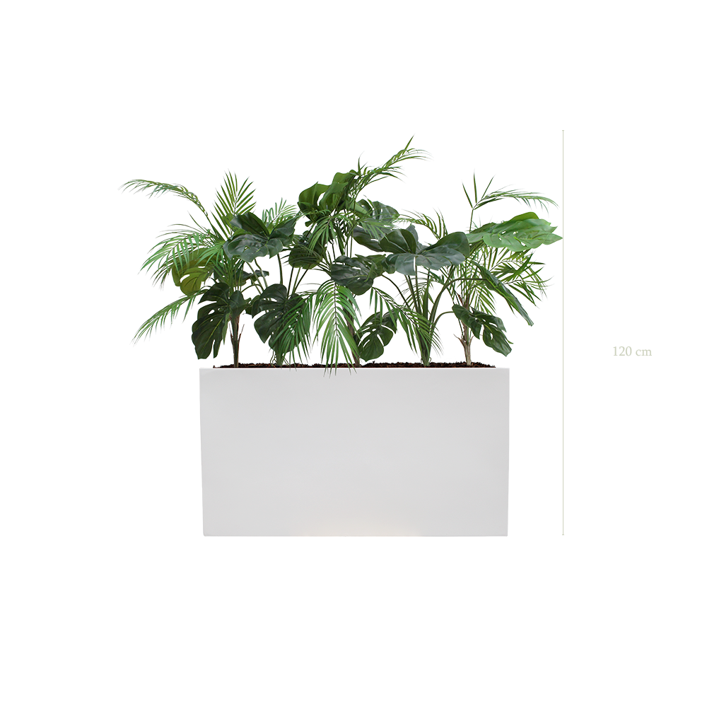 Séparateur S. Java - Bac Blanc #Artificiel