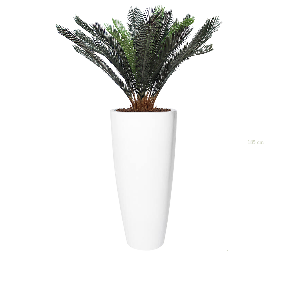 Le Cycas - Pot Haut Blanc - Artificiel