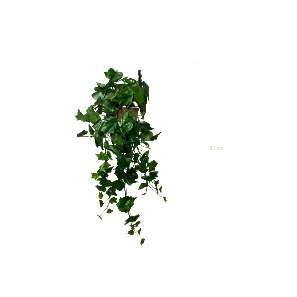 La Tombante Lierre - Pot Terre Cuite #Artificiel