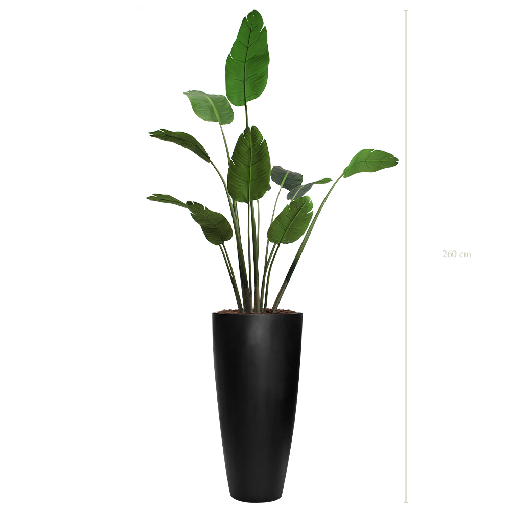 The Banana Tree in a tall round black pot #Artificial