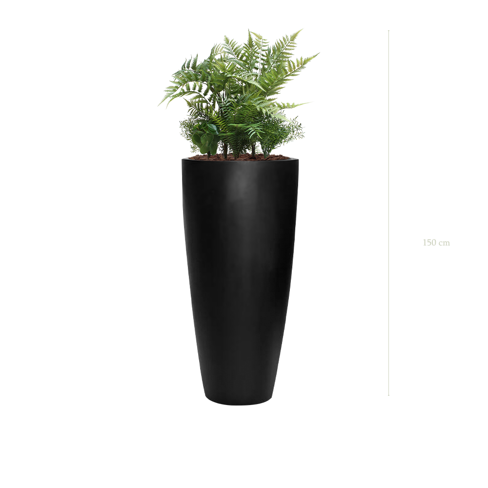 The Amazonie in a Tall Rounded Black Pot #Artificial