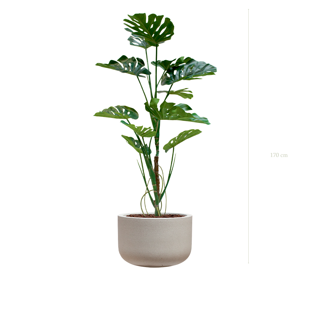 La Monstera - Pot Sable #Artificiel