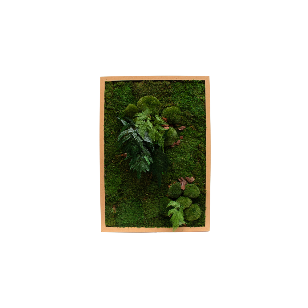 The planted frames #Stabilized