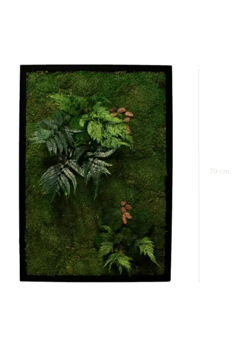 The planted frames #Stabilized