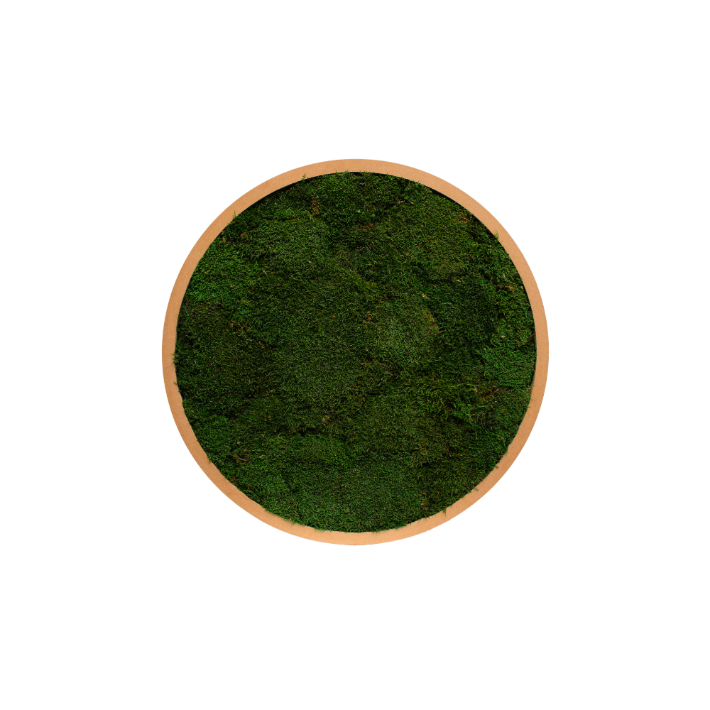 Circular Plant Tables #Stabilized