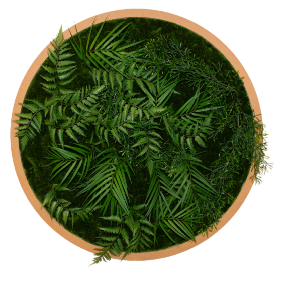 The Circular Plant Wall Frames #Artificial