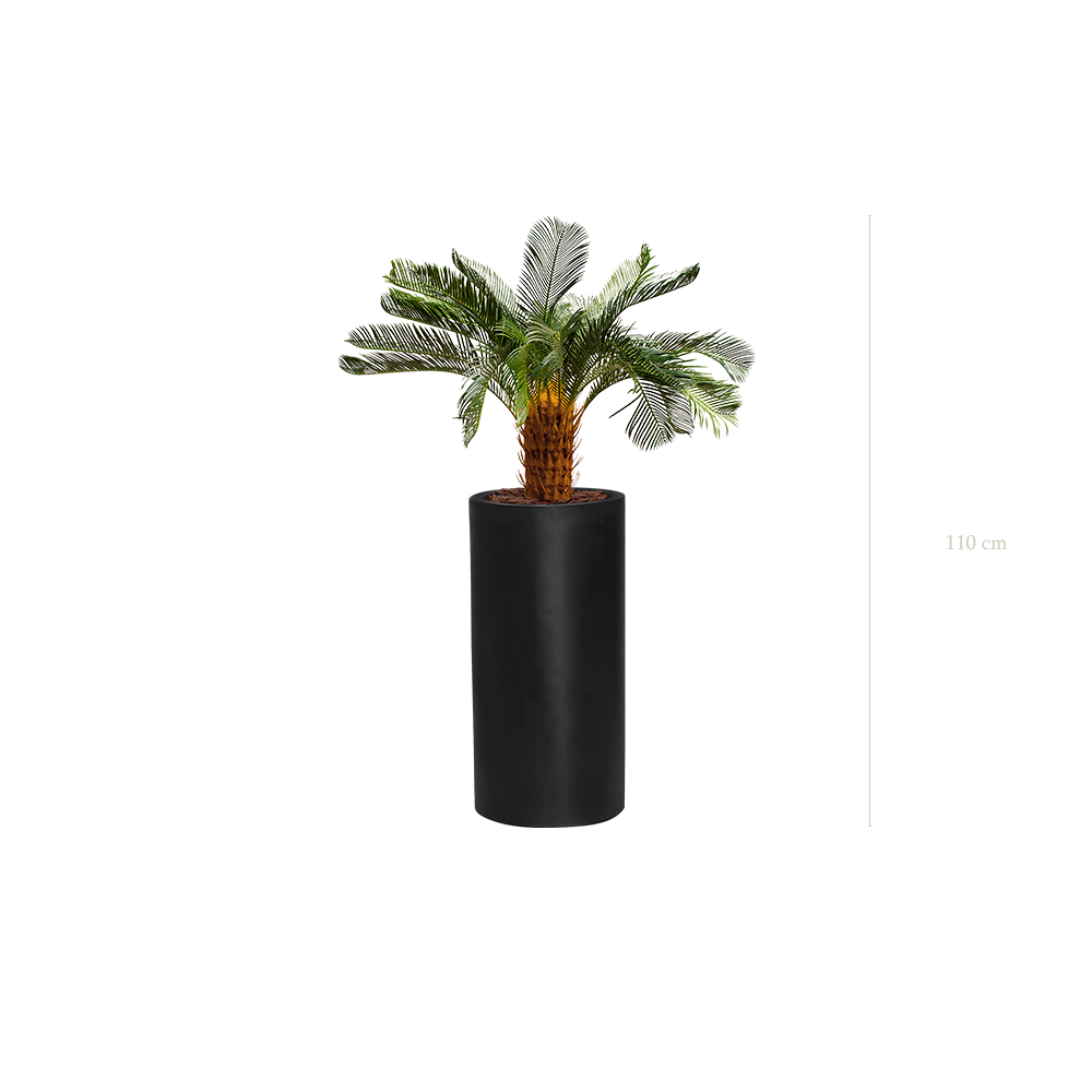Die kleine Cycas in einem hohen schwarzen Zylindertopf #Künstlich