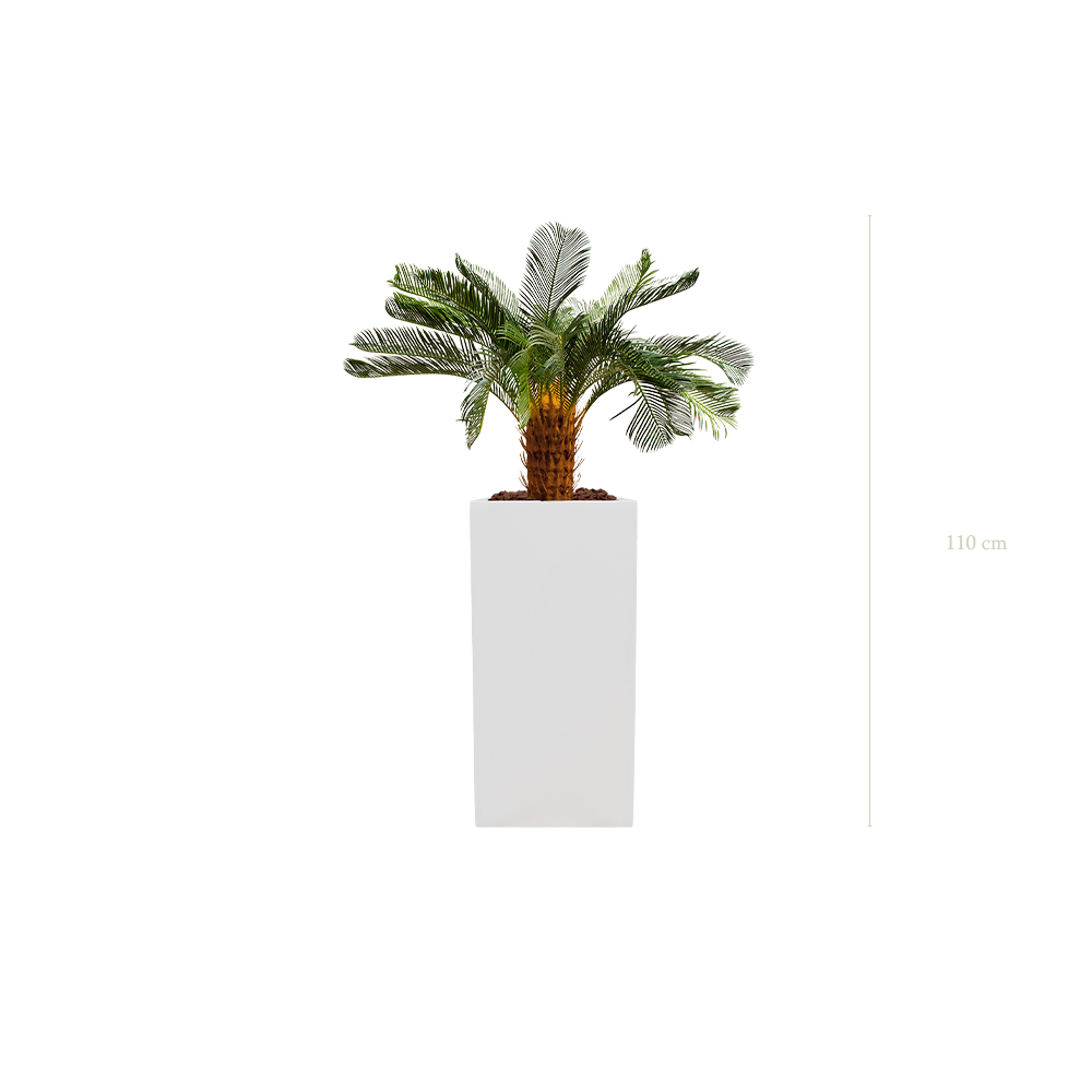 Die kleine Cycas in einem hohen weißen Würfeltopf #Künstlich