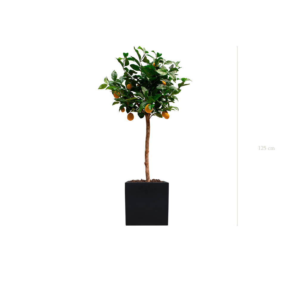 der Zitronenbaum - schwarzer kubischer #künstlich