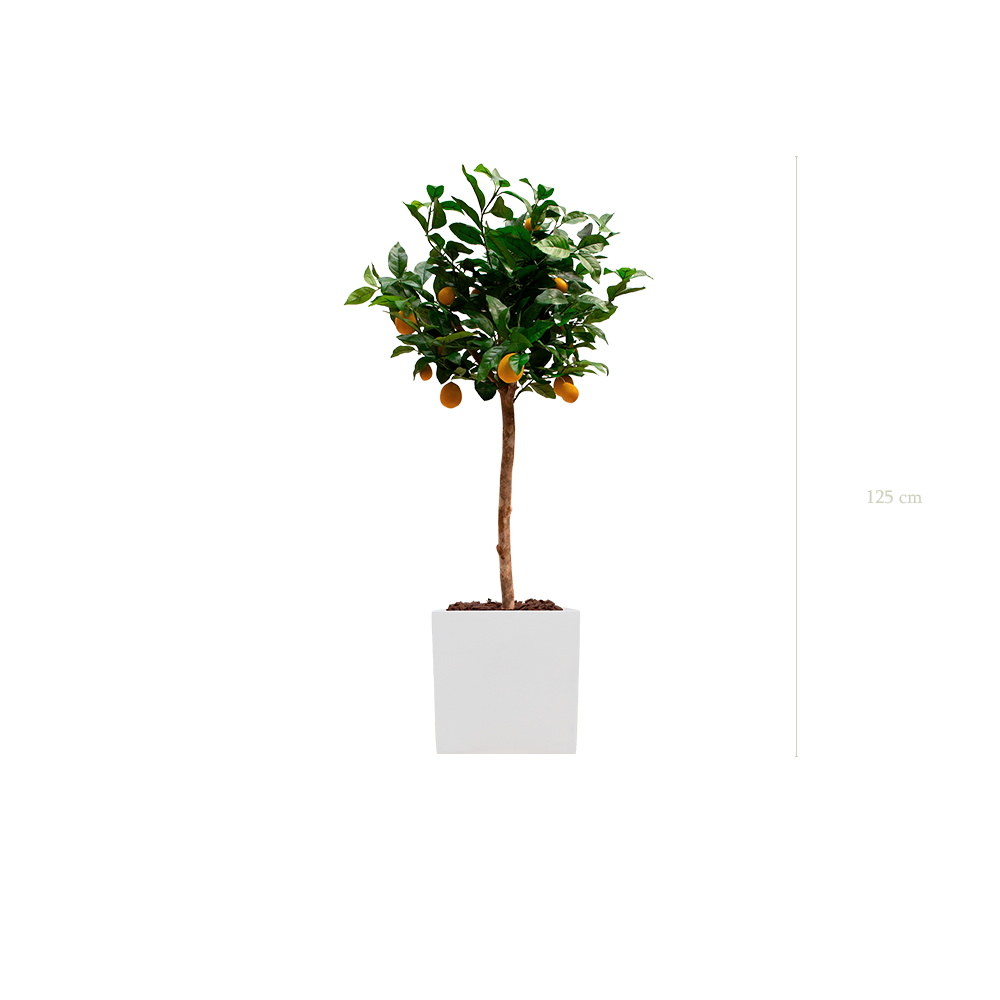 der Zitronenbaum - weißer Würfeltopf #künstlich