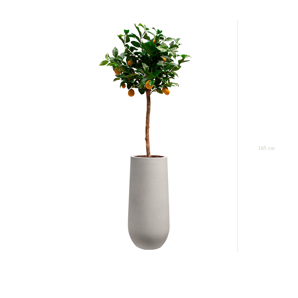 The Lemon tree in a mineral grey pot #Artificial