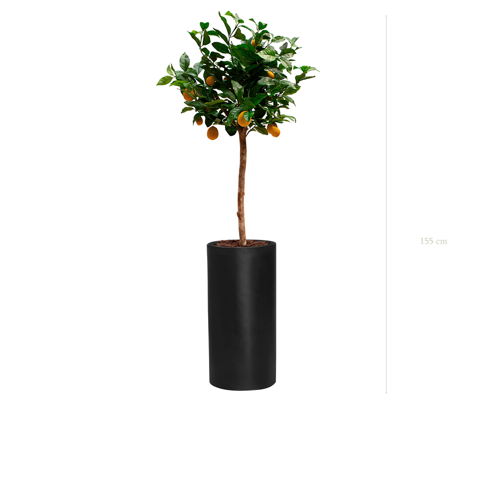The Lemon tree in a tall black cylinder pot #Artificial