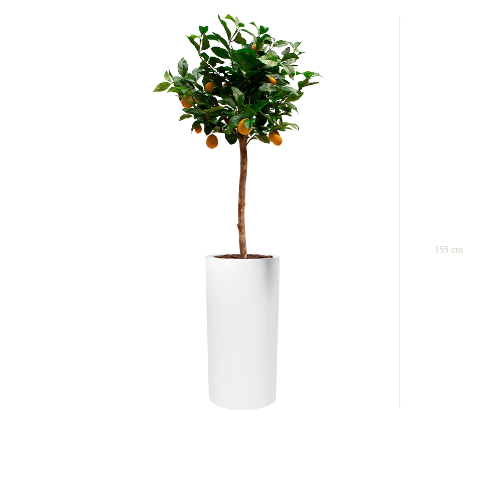 The Lemon tree in a tall white cylinder pot #Artificial